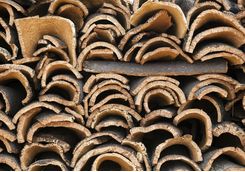stacks of wood
