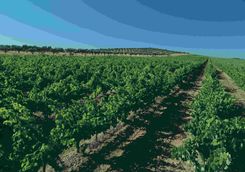 Winelands