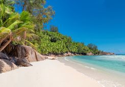 a typical white sandy beach in the Seychelles