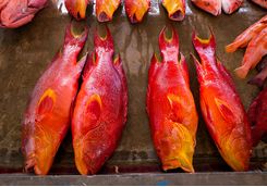 A local fish market