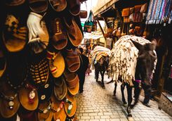 Donkey in the Market