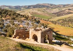 Ruins in the Countryside