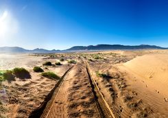 Desert landscape