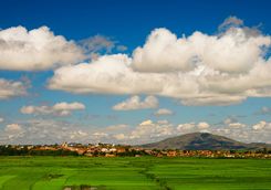 Rice fields around Antananarivo