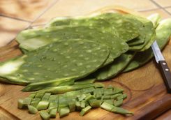 nopal mexican food