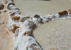 Salt Pans of Moray