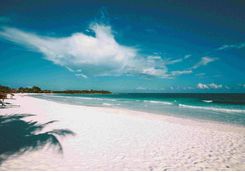 the beach at hotel esencia