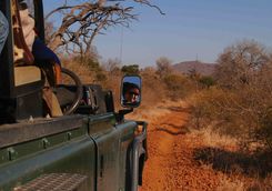 Safari vehicle in Madikwe