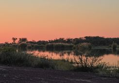 Sunset in the Marataba Game Reserve