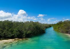 sian ka'an biosphere reserve