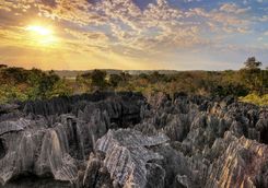 Tsingy of Ankarana