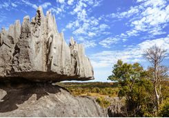 Great tsingy de Bermaraha