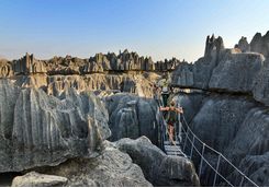 Rope bridge over tsingy