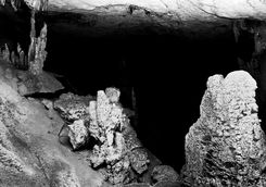 Bats in Mandresy Cave