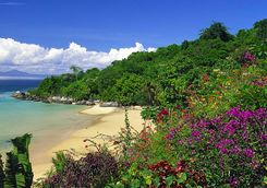 Beach view and gardens