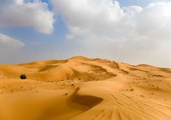 The Omani desert