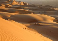 Sand dunes in the empty quarter