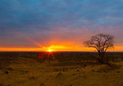Luangwa Sunset