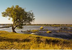 Lower Zambezi river