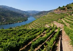 Douro river