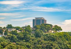 Leafy hills