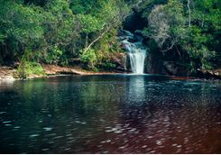 Waterfall in Minas Gerais