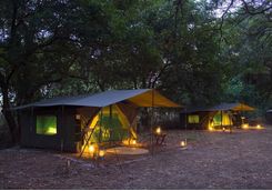 Camp site in the bush