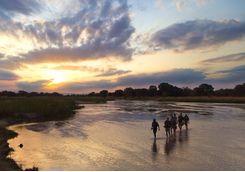 Walking safari at sunset