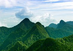 Mountains in the rainforest