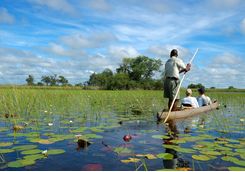 A Mokoro Canoe