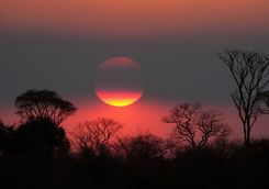 An African Sunset