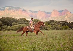 gaucho riding with mountains behind