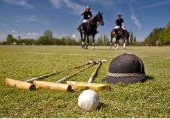 polo playing