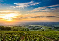 Rhone Valley