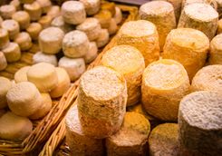 Goat's Cheese at Market