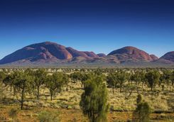 Uluru landscape
