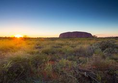 Uluru at sunrise
