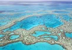 Great Barrier Reef