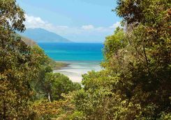 Daintree coast