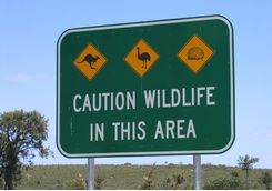 Wildlife sign post