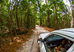 Four wheel driving