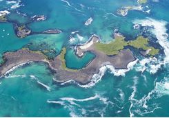 Tintoreras Islet