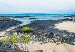 Moreno Point, Isabela Island
