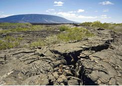 Volcanic Fernandina Island