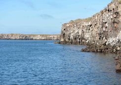 Genovesa Island