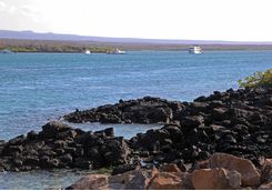 Baltra Island