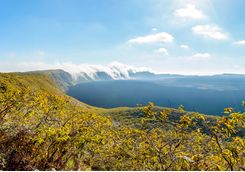 Sierra Negra volcano