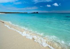 tropical island beach