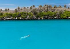 snorkelling in santa fe