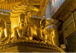 Golden Buddah